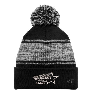 CLASSIC LOGO - Knit Chilled Pom Beanie Thumbnail