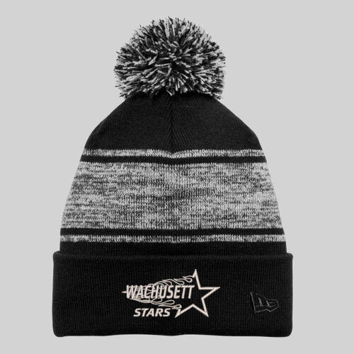 CLASSIC LOGO - Knit Chilled Pom Beanie Thumbnail